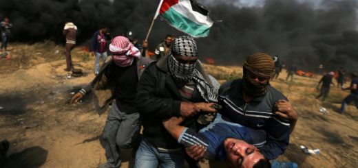 Israeli forces abolish three Palestinians, damage 955 at Gaza mutter