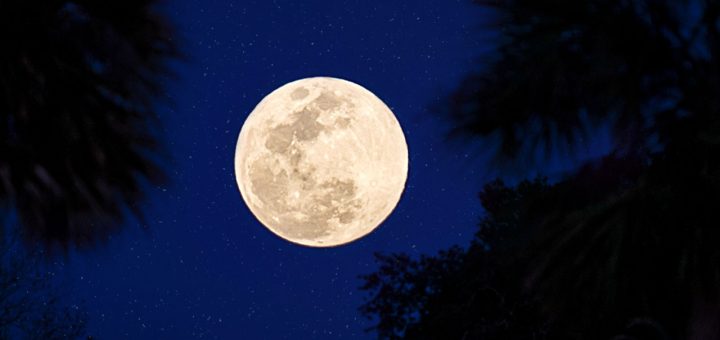 NASA Cancels Moon Mission, Frustrating Scientists