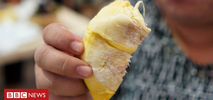 Immoral fruit causes university evacuation