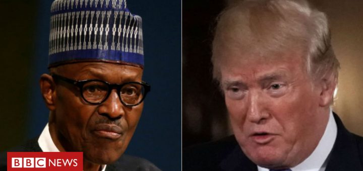 Nigeria president to meet Trump in US