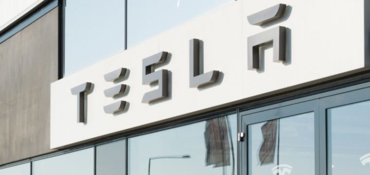 In financial call, Tesla CEO Elon Musk crucial aspects lessons from “FluffBot”