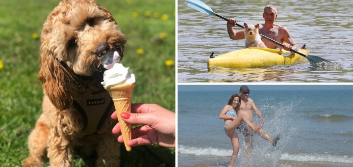 Britain will seemingly be hotter than Mexico on the present time as monetary institution holiday Monday hits 29C