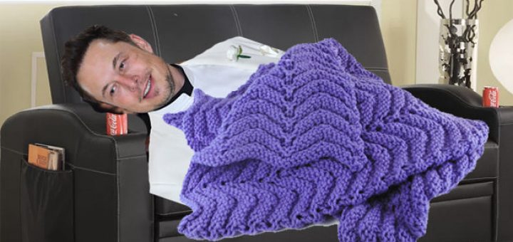 Those Elon Musk Fans Genuinely Obtained Their Billionaire Boy A Sofa