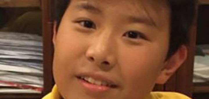12yo boy pulled into automobile on Queensland’s Gold Waft