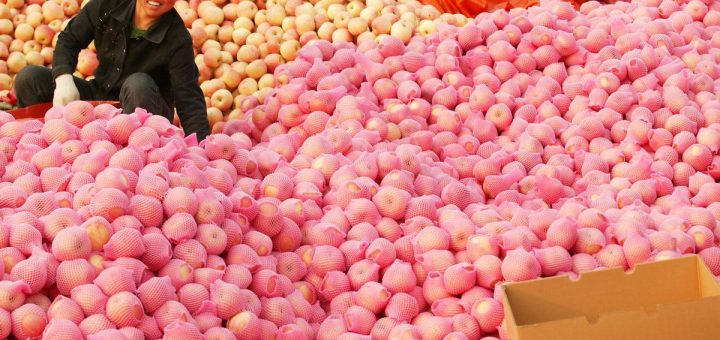 Forty six Million A total lot Apples a Day Retains the Doctor Away