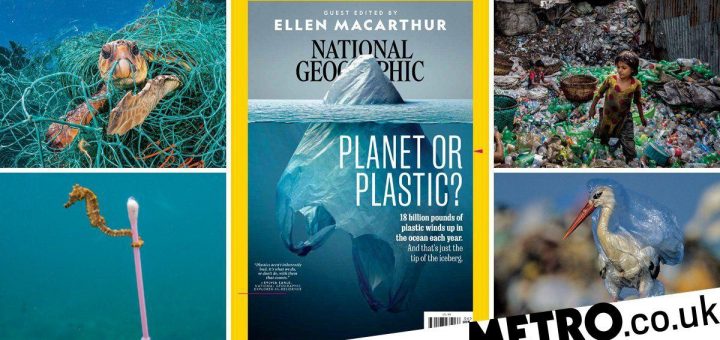 This Nationwide Geographic hide illustrates the damage we’re doing to our planet