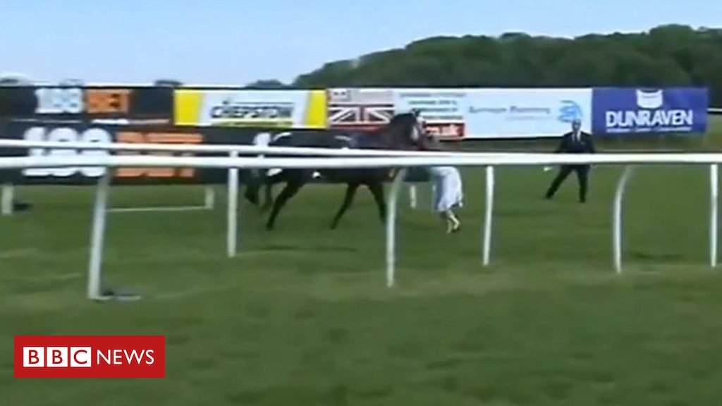 TV presenter tackles loose racehorse