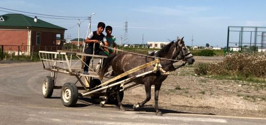 Azerbaijan’s displaced gaze return to Armenian-managed lands
