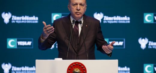 Turkey slams Macron over Erdogan journal quilt make stronger