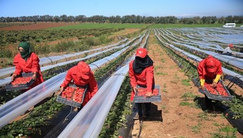 Rapatriement des marocaines en espagne